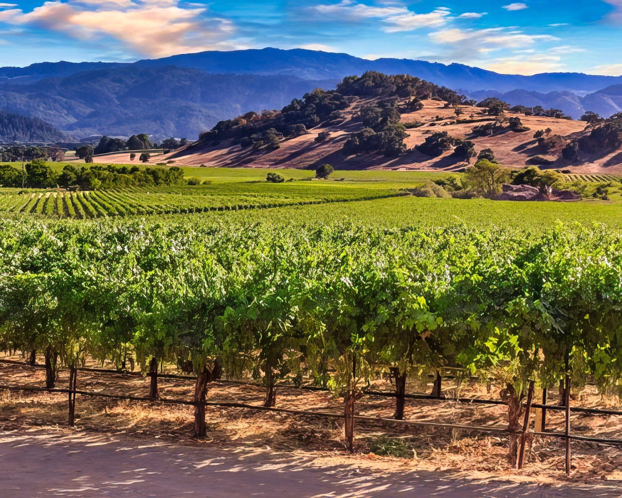 Thumbnail 14